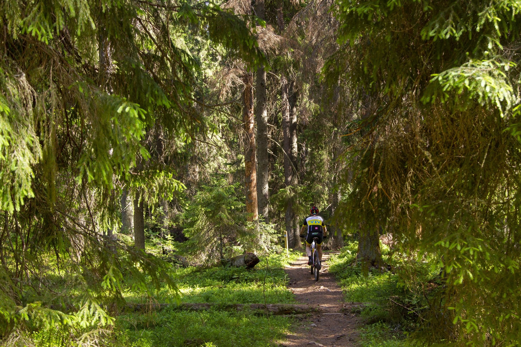 Järvimaareitti